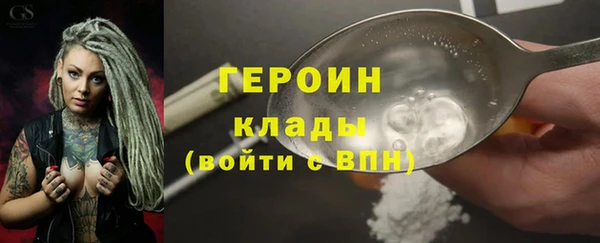 шишки Дмитриев