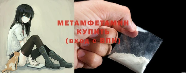 шишки Дмитриев
