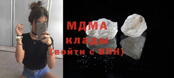 шишки Дмитриев