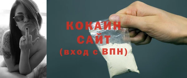 шишки Дмитриев