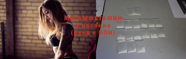 шишки Дмитриев