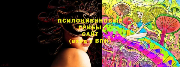 шишки Дмитриев