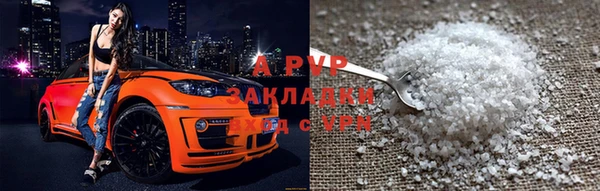 шишки Дмитриев
