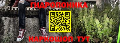 круглые Дубна