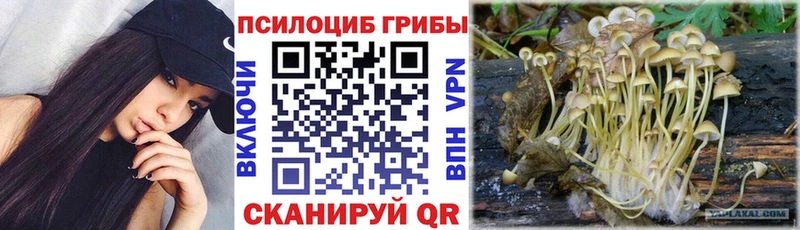 Галлюциногенные грибы Cubensis  сколько стоит  Рузаевка 