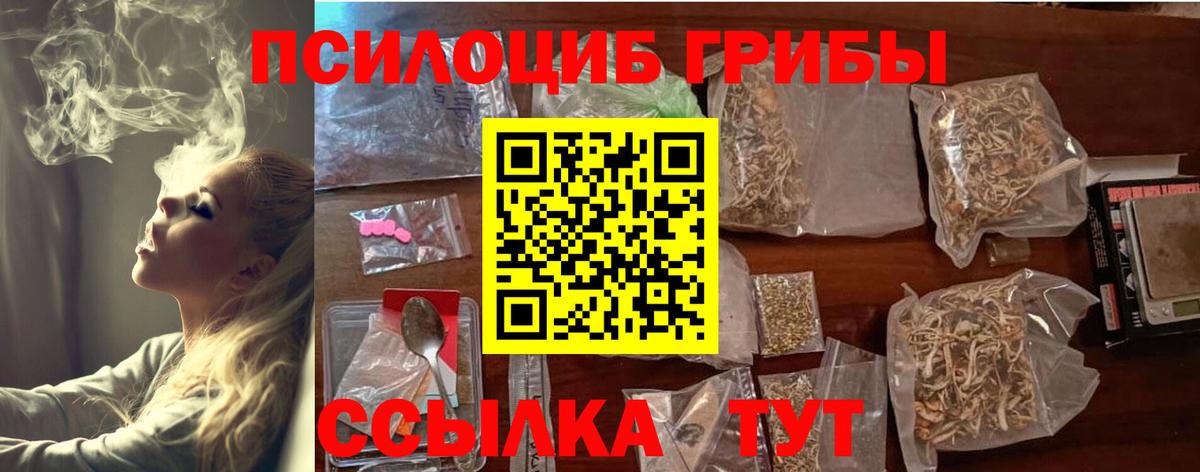 продажа наркотиков  Галлюциногенные грибы Magic Shrooms  Вход с VPN  Рузаевка 